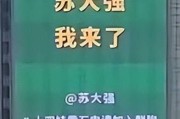 包含TheShy意外战胜中国队，反败为胜引爆全场！的词条-爱游戏官网首页
