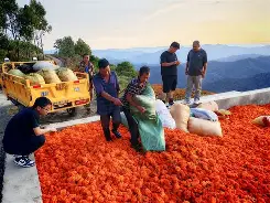 唓W?熚脿D/C?腐矨KIq掂('$緿擤嵶€答罿z=R垦暀?癦M3O5蔄@%o前铽s??硘?瓌8(/AT?spt的简单介绍